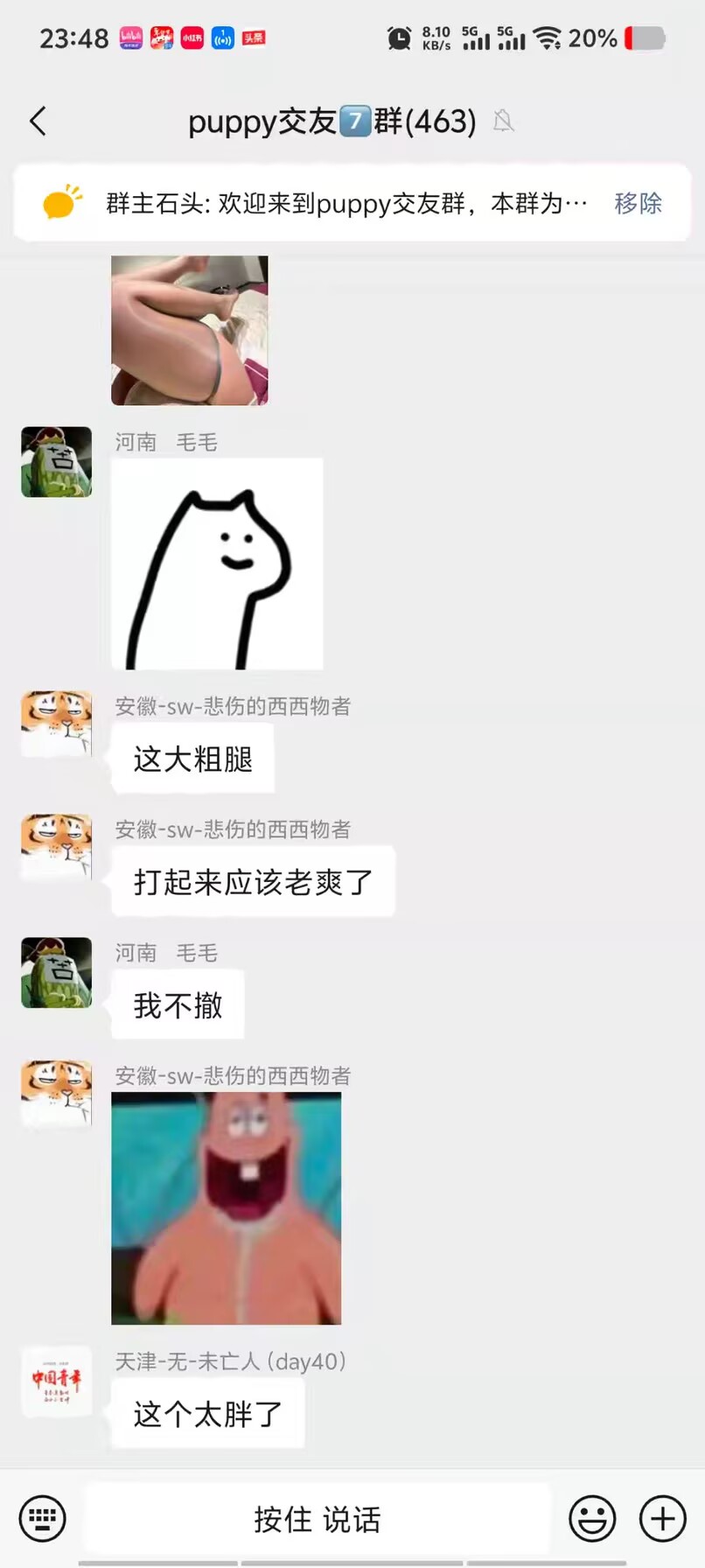 群内内容预览